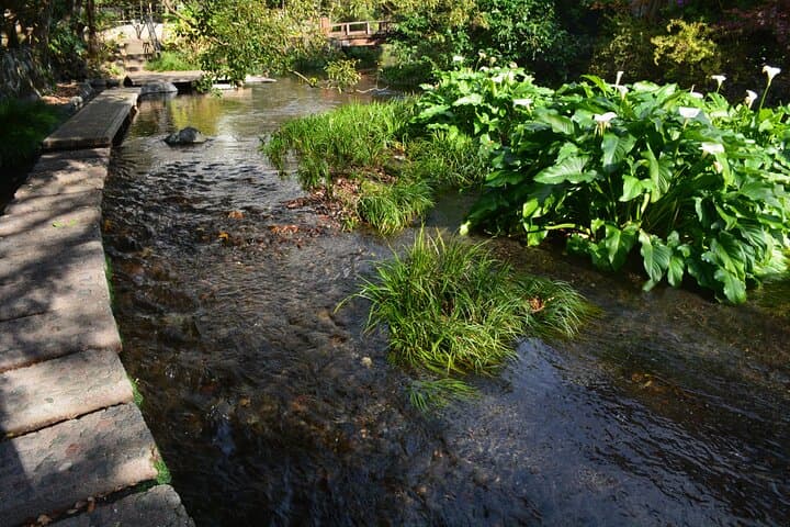 Hike Hakone Hachiri — Walk the Ancient Tokaido from Odawara to Lake Ashi photo 5