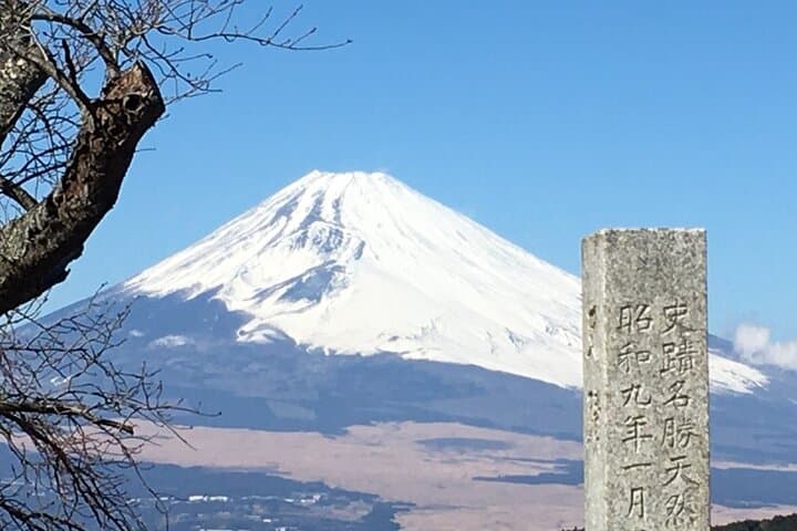 Hike Hakone Hachiri — Walk the Ancient Tokaido from Odawara to Lake Ashi photo 6