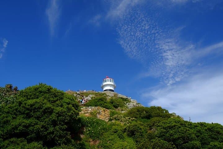 Cape Peninsula Tour — Cape Point, Boulders Beach Penguins & Chapman’s Peak Drive photo 3