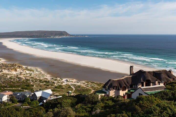 Cape Peninsula Tour — Cape Point, Boulders Beach Penguins & Chapman’s Peak Drive photo 5