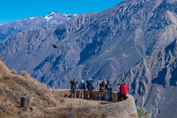 2-Day Colca Canyon Condor & Cultural Experience from Arequipa photo 2