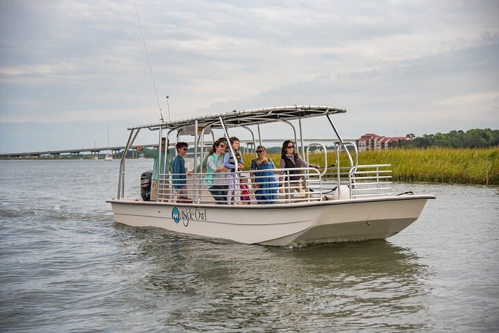 Hilton Head 90‑Minute Dolphin and Nature Cruise on Broad Creek