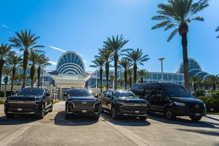 Private 14-Passenger Van Transfer: Orlando (MCO) to Port Canaveral One‑Way photo 3