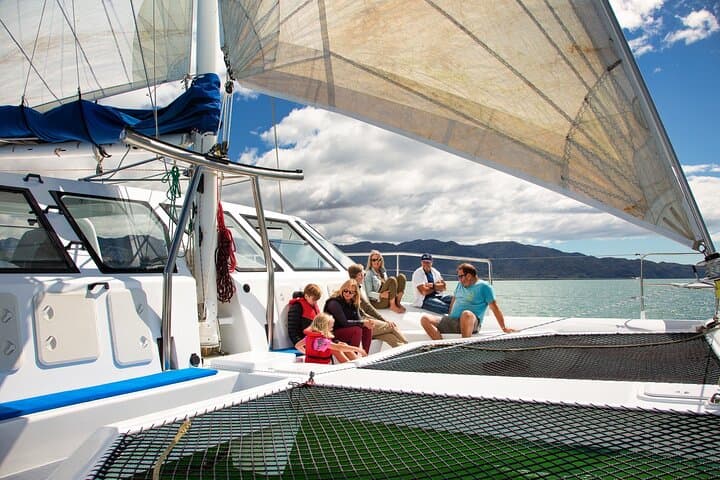 Abel Tasman Day Sail and Coastal Walk from Kaiteriteri — Seals, Split Apple Rock & Anchorage Bay photo 3
