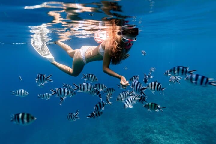 Private Half-Day Snorkel & Cruise on Serendipity — Providenciales Reef Adventure photo 5