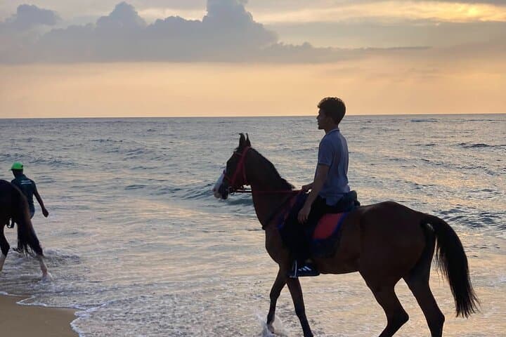 Mount Lavinia Beach Horseback Riding: Sunset Canters on Sri Lanka’s Shore photo 5