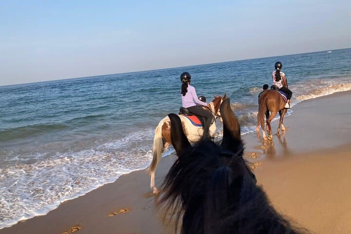 Private Beach Horse Ride in Port City Colombo: Sunset & Sunrise Rides photo 3