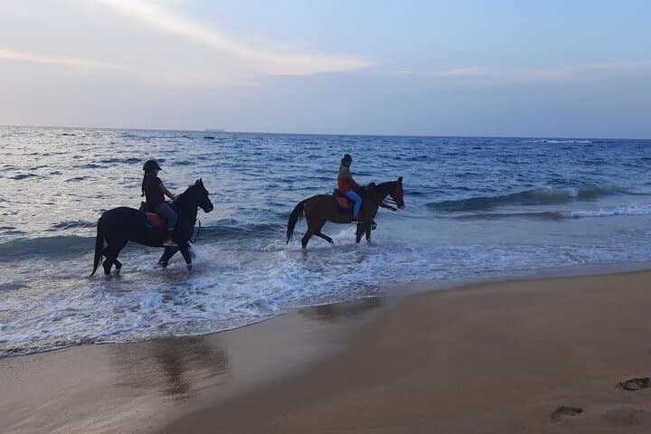 Private Beach Horse Ride in Port City Colombo: Sunset & Sunrise Rides photo 5