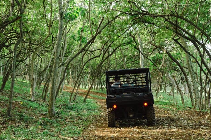 Private Off-Road Sunset Dinner in Kahuku — Oahu Off-Road Tour & Campfire Meal photo 6