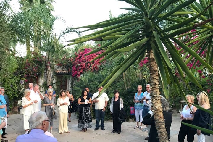 Explore Palm Springs: Mods & Icons Historical Tour and Cultural Landmarks photo 4
