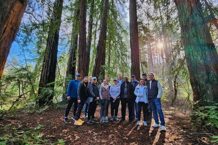 Napa Valley Redwood Hike — 3.25-Mile Guided Walk Through the Mayacamas Redwoods photo 1