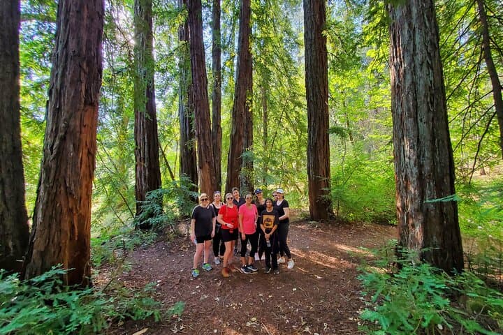 Napa Valley Redwood Hike — 3.25-Mile Guided Walk Through the Mayacamas Redwoods photo 3