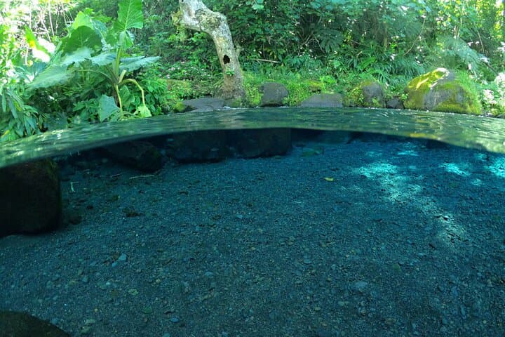 Tahiti Island Highlights: Pointe Vénus, Waterfalls & Marae Tour photo 5