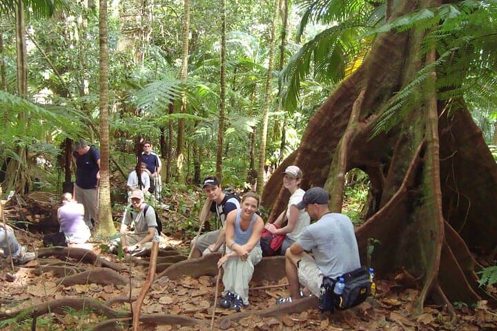 St. Kitts Rainforest Rumble: Guided Tropical Hike with Local Snacks
