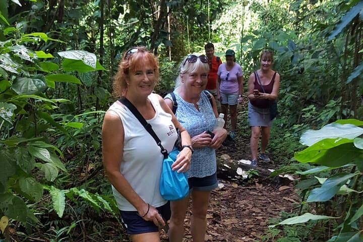 St. Kitts Rainforest Rumble: Guided Tropical Hike with Local Snacks photo 2
