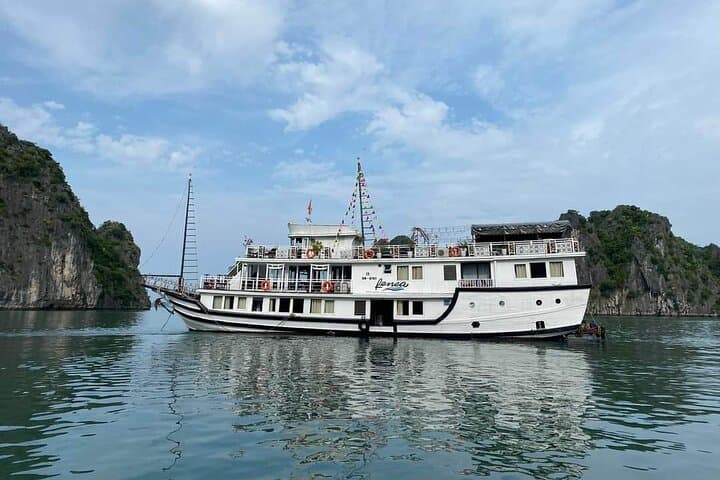 Overnight Boutique Cruise in Bai Tu Long Bay — Renea Cruise 2D/1N Guide