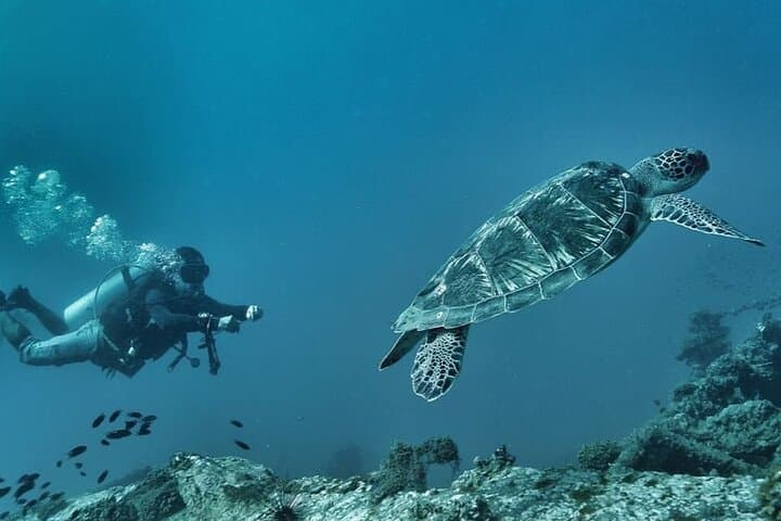 Beginner Scuba Diving in Pulau Perhentian: Discovery Scuba (DSD) Experience photo 6