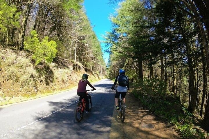 Madeira Mountain Biking: Camacha to Poiso Levadas and Panoramic Rides photo 3