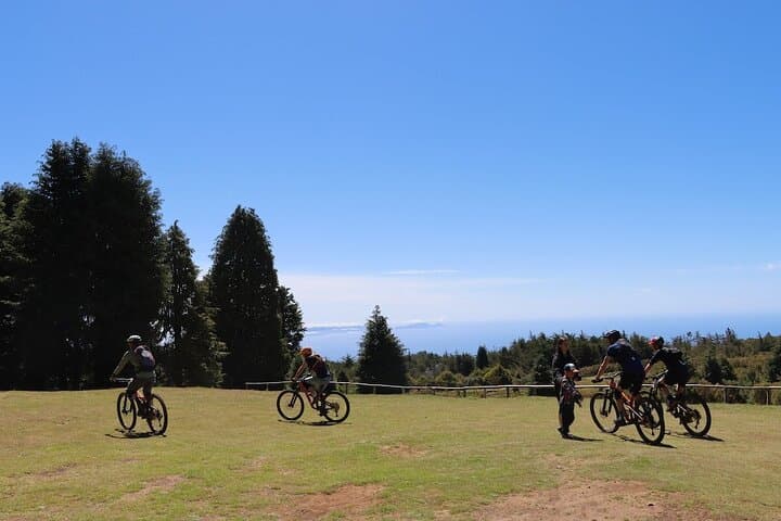 Madeira Mountain Biking: Camacha to Poiso Levadas and Panoramic Rides photo 4