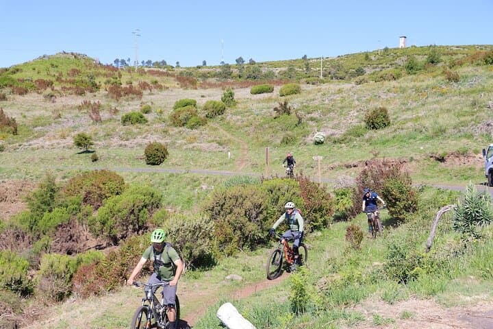 Madeira Mountain Biking: Camacha to Poiso Levadas and Panoramic Rides photo 2