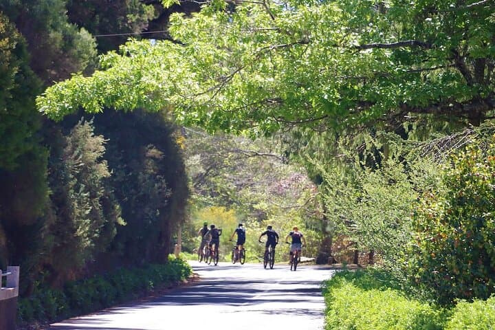 Madeira Mountain Biking: Camacha to Poiso Levadas and Panoramic Rides photo 5