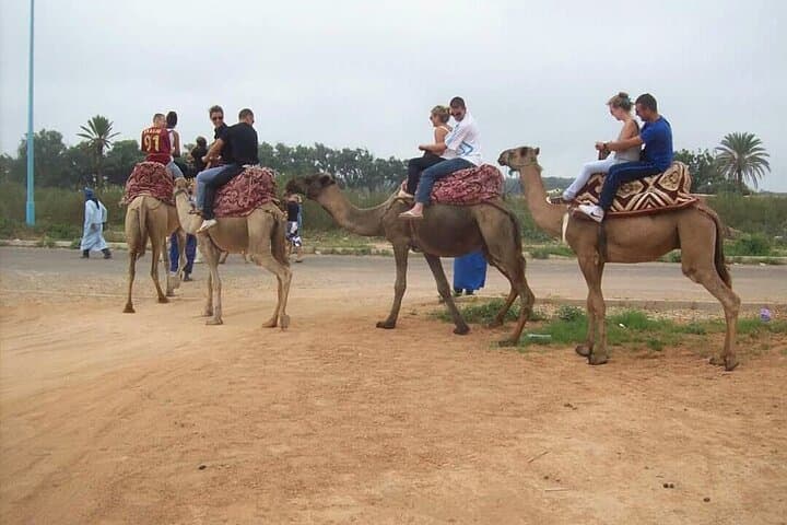 Camel Barbecue Sunset in Agadir — Dunes, Souss River & Sunset Ride photo 3