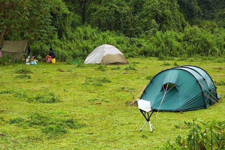 6-Day Bale Mountains Trekking: High-Alpine Hikes, Harenna Forest & Ethiopian Wolf photo 3