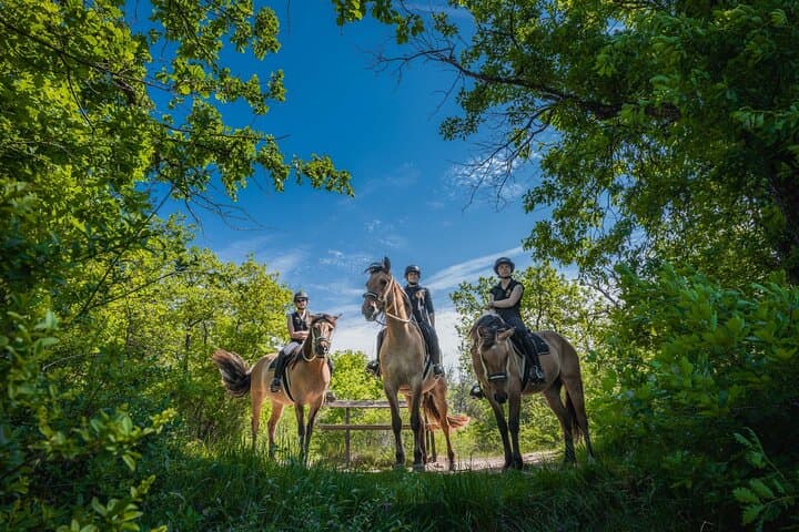 Horse Riding and Château Day Trip to Fontainebleau from Paris: Forest Ride, Gourmet Lunch & Castle Tour