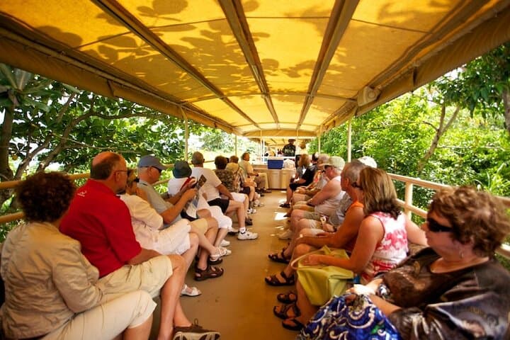 Ride the St. Kitts Scenic Railway: 30-Mile Coastal & Rainforest Circle
