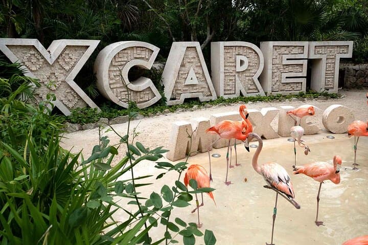 Xcaret Plus Full-Day Tour — Underground Rivers, Cultural Shows & Snorkeling photo 2