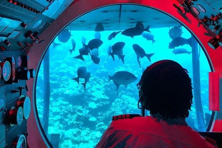 Atlantis Submarines Night Tour Barbados: Night Dive to 150 Feet for Coral and Creatures photo 2