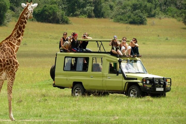 5-Day Private Wildebeest Migration Safari: Tarangire, Ngorongoro & Serengeti photo 2
