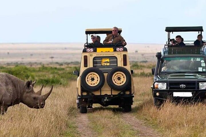 5-Day Private Wildebeest Migration Safari: Tarangire, Ngorongoro & Serengeti photo 3