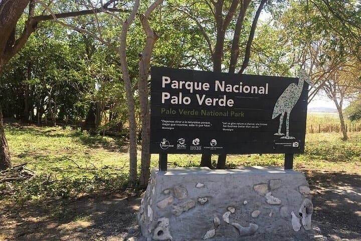Palo Verde National Park Full-Day Private Tour: Tempisque River Boat Safari & Wildlife