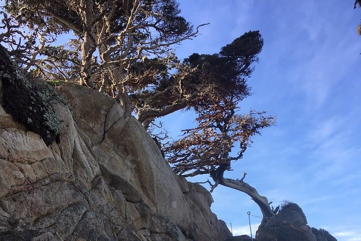 4-Hour Big Sur Guided Coastal Hike from Ragged Point photo 2