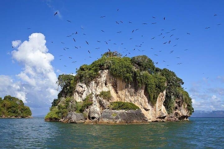 Los Haitises & Montaña Redonda: Boat to Caves and Summit Views from Punta Cana