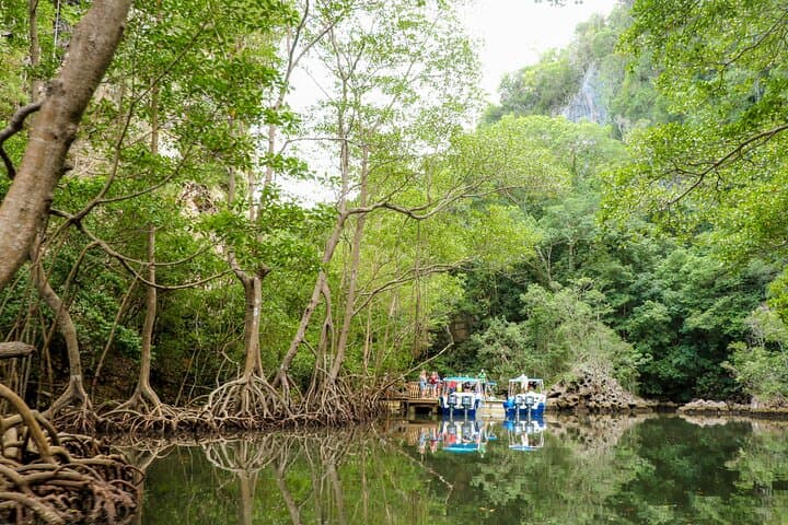 Los Haitises & Montaña Redonda: Boat to Caves and Summit Views from Punta Cana photo 6
