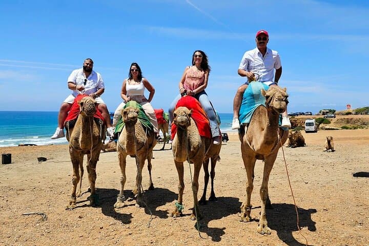 Tangier Day Trip from Malaga and Tarifa: Cap Spartel, Medina & Ferry Crossing photo 2