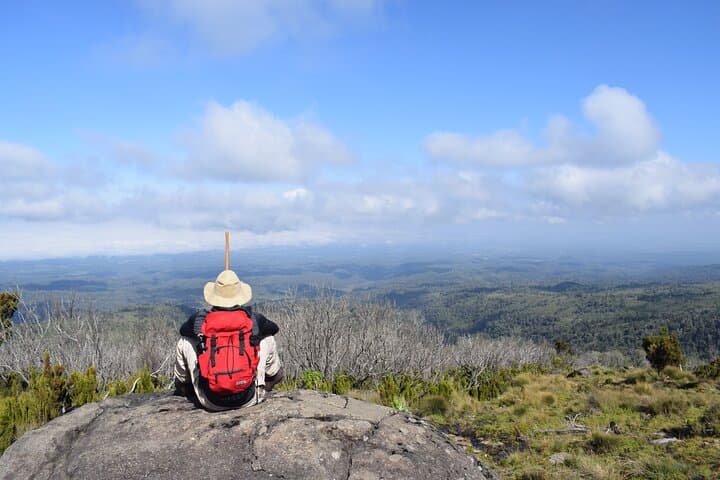 Mt Kenya Narumoro Route Day Hike to Met Station — From Nairobi photo 6