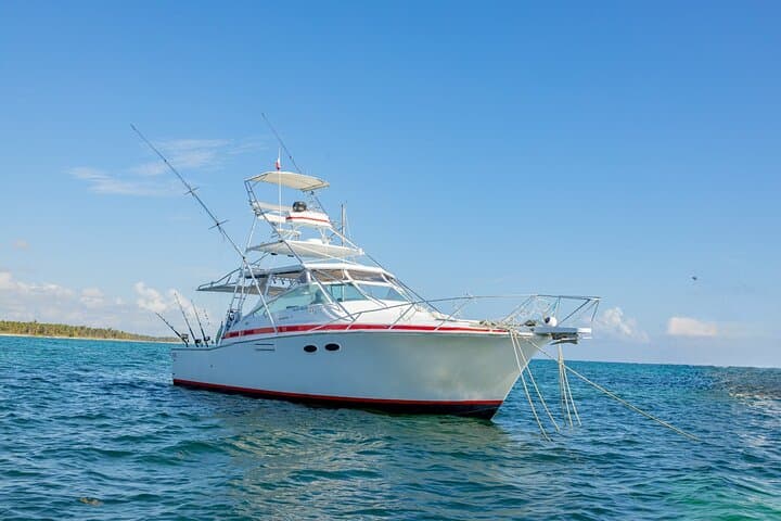 Punta Cana Deep Sea Fishing Charter — Reel Adventures & Big-Game Angling photo 2