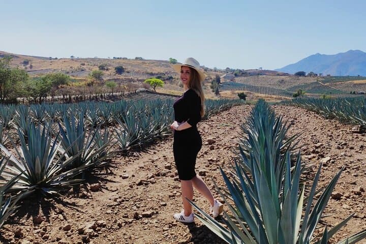 Full-Day Tequila Route: Distillery Tour, Agave Swing & Cantaritos Party photo 2