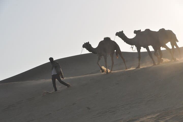 Jaisalmer Sunrise Camel Safari with Dunes Breakfast — Early-Morning Thar Desert Tour photo 3