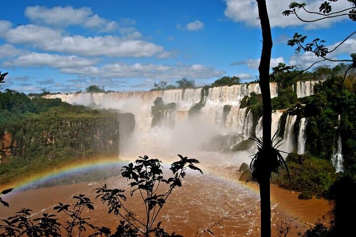 Brazilian Falls & Parque das Aves: Full-Day Tour from Puerto Iguazú photo 4