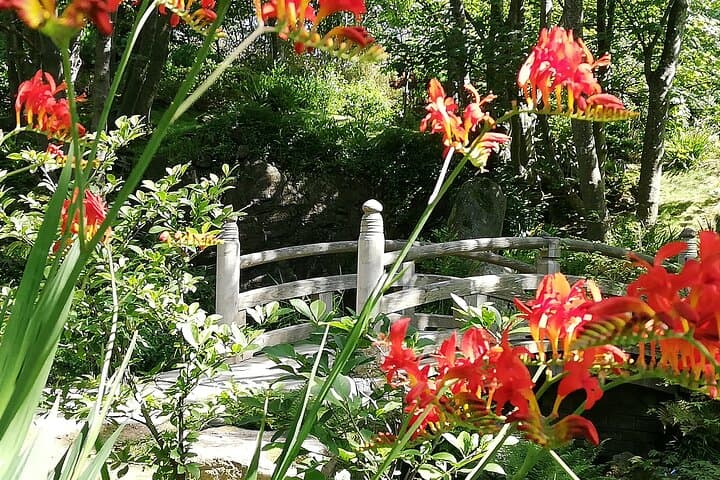 Explore Lafcadio Hearn Japanese Gardens in Tramore — Visitor Guide & Admission photo 3