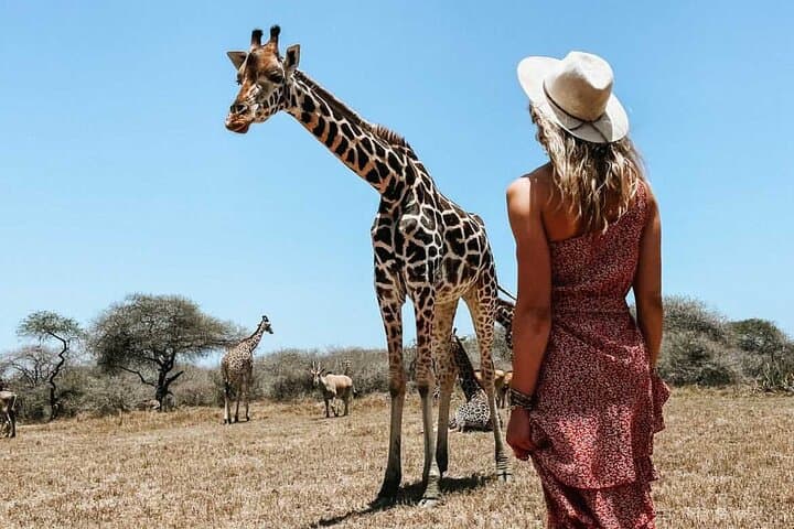 Nature Walk with Giraffes in Mombasa — Up‑Close Sanctuary Experience photo 3