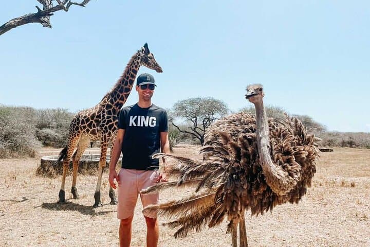 Nature Walk with Giraffes in Mombasa — Up‑Close Sanctuary Experience