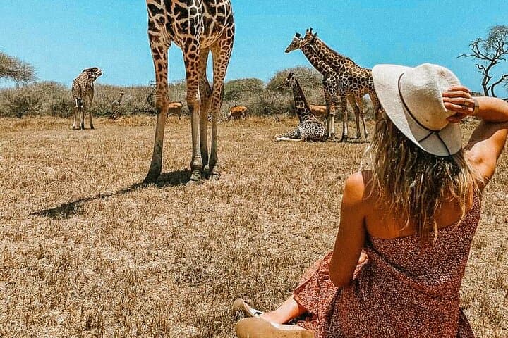 Nature Walk with Giraffes in Mombasa — Up‑Close Sanctuary Experience photo 2