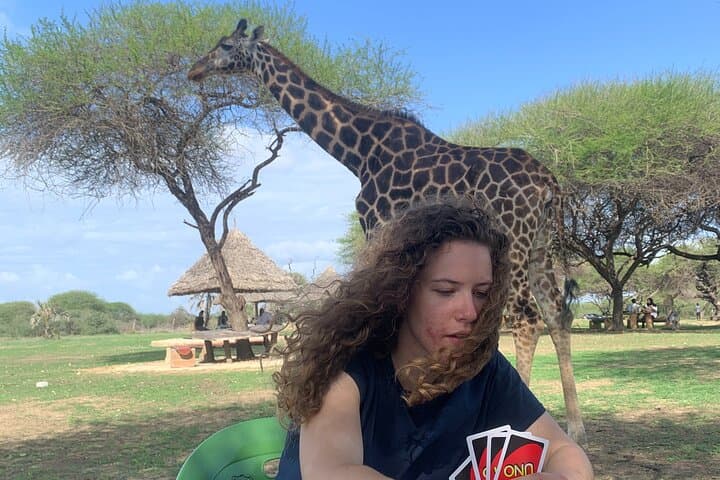 Nature Walk with Giraffes in Mombasa — Up‑Close Sanctuary Experience photo 4