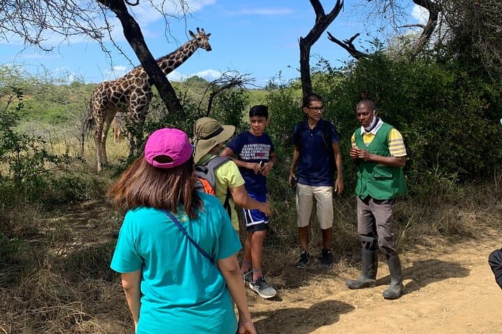 Nature Walk with Giraffes in Mombasa — Up‑Close Sanctuary Experience photo 5