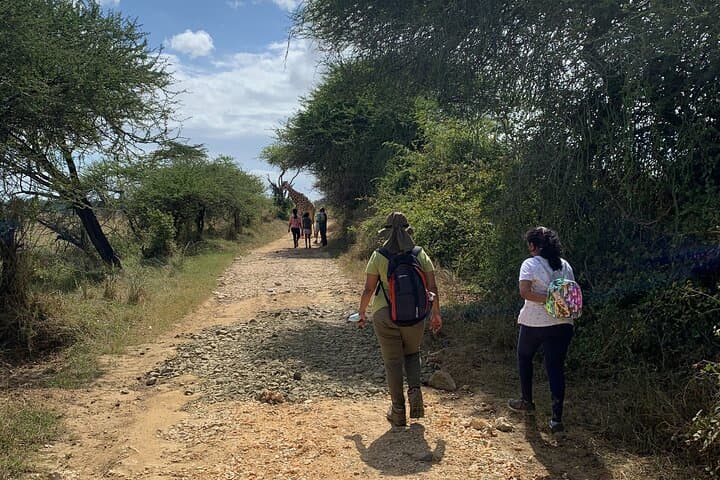 Nature Walk with Giraffes in Mombasa — Up‑Close Sanctuary Experience photo 6